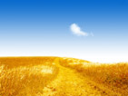 Summer wallpapers65